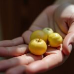 Mon palmier produit des grappes : Faut-il les tailler et quel est le meilleur moment pour agir ?